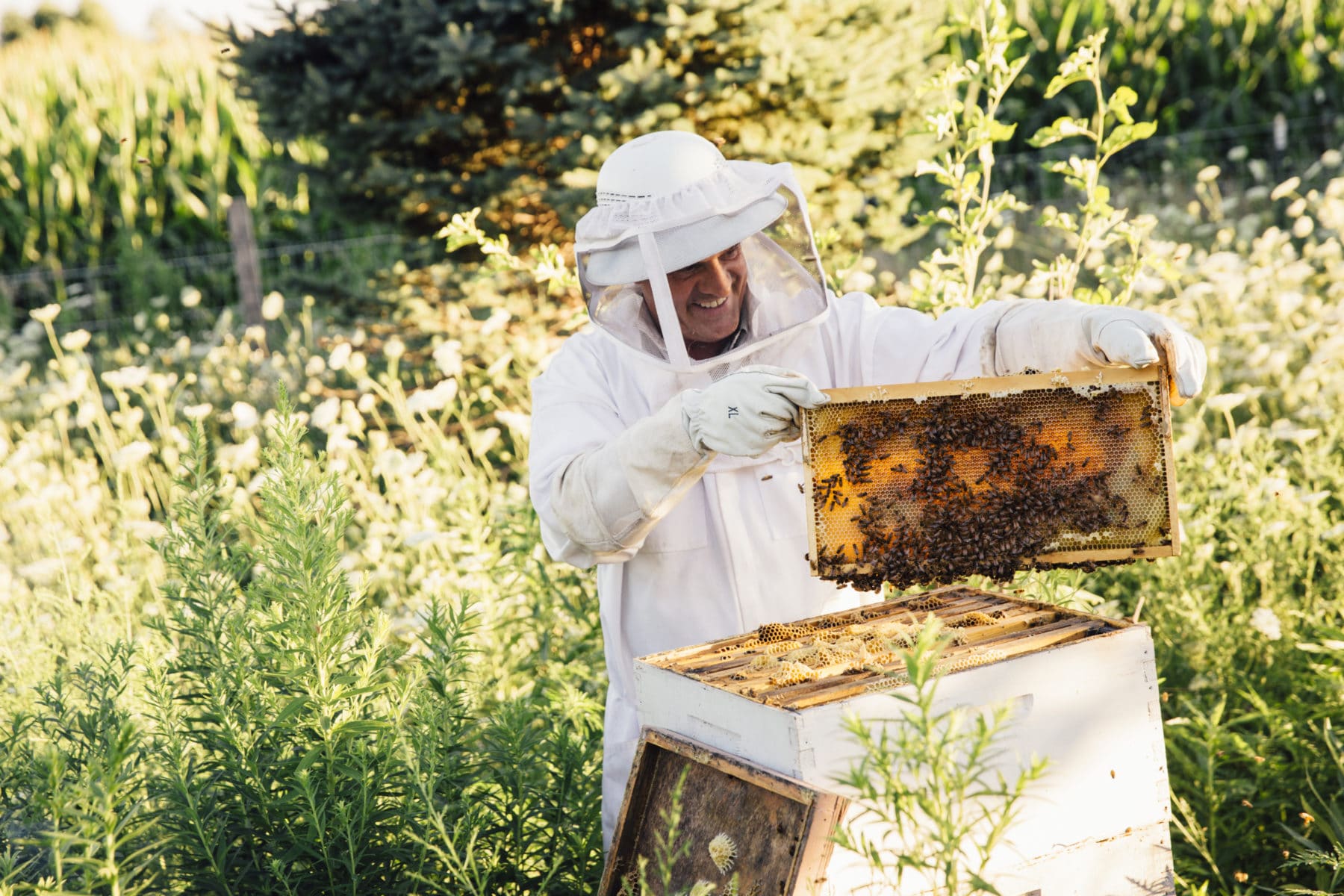 Farm-Fresh Honey